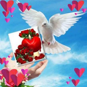 Meet your Posher, Patricia